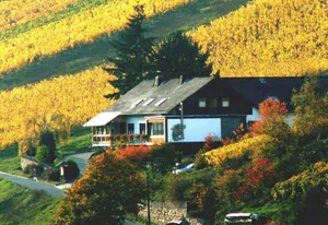 Image of Weingut & Gastehaus Sonnenhof