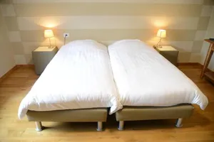Image of Race & Rooms
