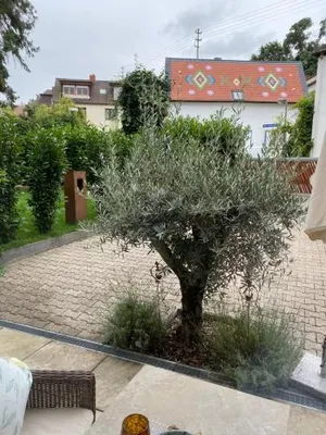 Image of Apartment am Weinberg