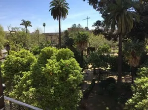 Image of Apartamento Santa Cruz