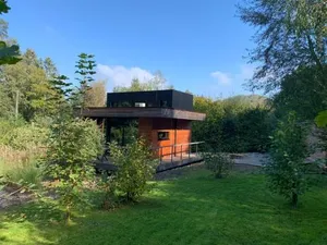 Image of Wild Cube