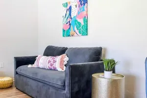 Image of Newly Remodeled Midcentury Pink Flamingo Casa