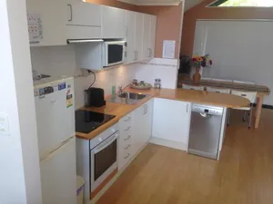 Image of Dillon 7