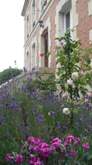 Image of Chambre d'hôtes Fleur de Senon