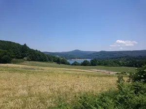 Image of Les Fées du lac ***