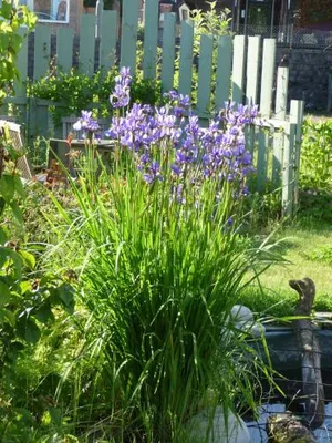 Image of Aberlour Cottages - Bolthole & Retreat