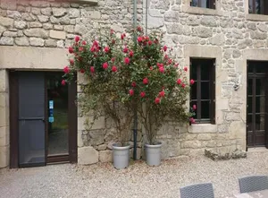 Image of Chambres d'Hôtes Le Pont