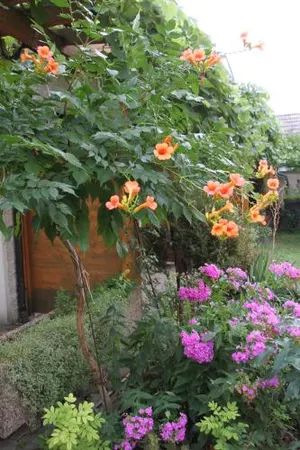 Image of Pension Gartner