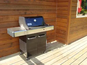 Image of The Bear Cabin