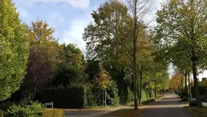 Image of FeWo Grafschaft