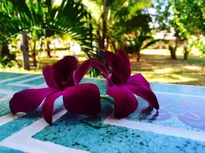 Image of Lanta Queen Resort