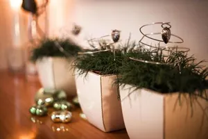 Image of Apart Daniela