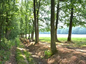 Image of Comfy Farmhouse with Terrace, Garden, Courtyard, Barbecue