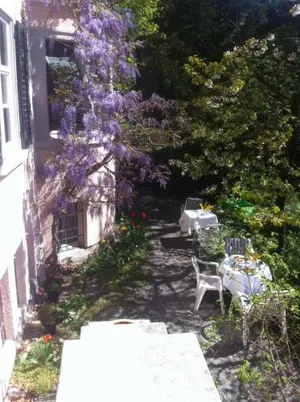 Image of Garden Studio Apartment Zürichberg