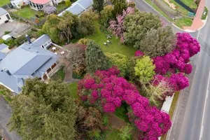 Image of Anabel's of Scottsdale Accommodation