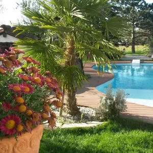 Image of Le Clos de Saint Amour