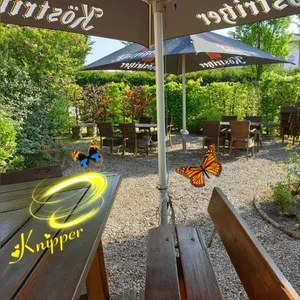Image of Hotel Knipper