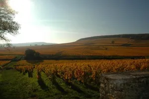 Image of Les Chambres Buissonnieres
