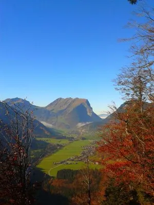 Image of Appartments Haus Monika