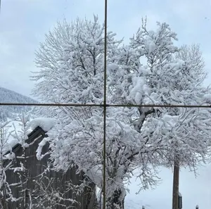 Image of Dachstein 7