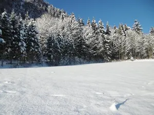 Image of Ferienwohnung Zillertal Bacher