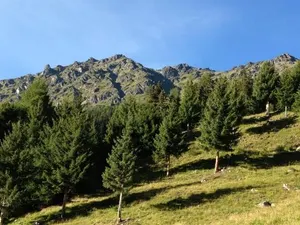 Image of Ögghof 222