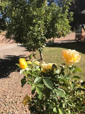 Image of Redhen Rental Near Zion National Park