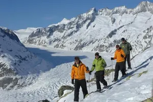 Image of Chalet Trollius
