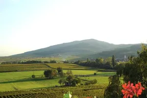 Image of Hotel Restaurant Faller Emmebuckel