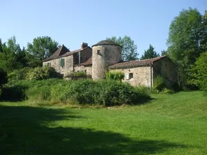 Image of Les Sonatines