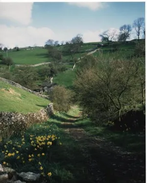 Image of Tomboys Cottage