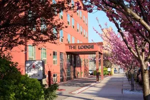 Image of The LOOK Hotel Red Hook