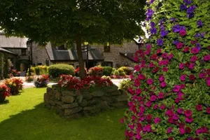 Image of St. Mary's Hotel