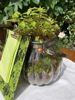 Image of Tante Berg B&B