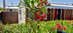 Image of Mobile home Le Montourey 81