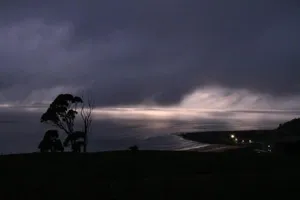 Image of Penguin Seaside Farm