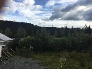 Image of Glacier Creek Cabins