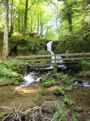 Image of Cafe Altersbach Waldgasthof