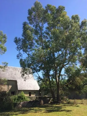Image of Le Manoir des Doyens