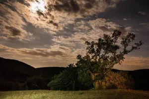 Image of Mas de Bombequiols