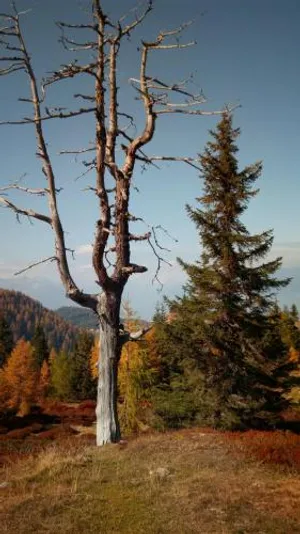 Image of Altes Pfarrhaus Altersberg