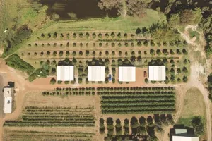 Image of Swan Valley Sisters