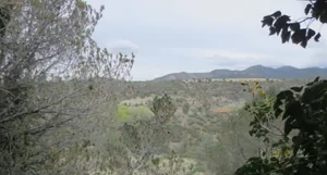 Image of Country Garden Studio