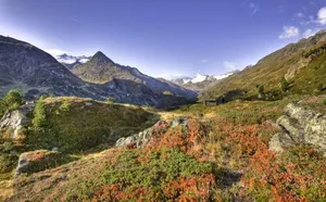 Image of Appartement Elmar