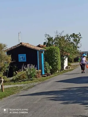 Image of CAMPING LA PINEDE