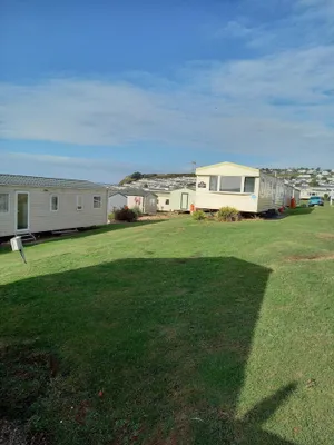 Image of Apple Grove
