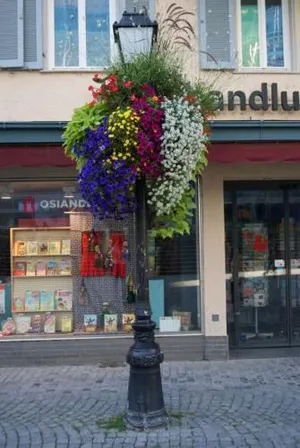 Image of Hotel Venezia