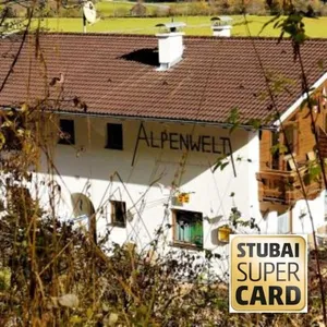 Image of Apartment Alpenwelt