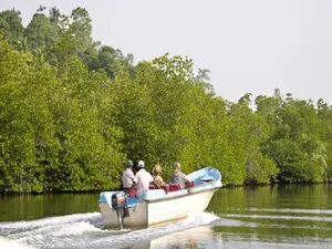 Image of Pelli Riverine