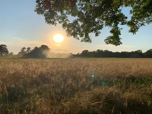 Image of De Hiddinghhoeve